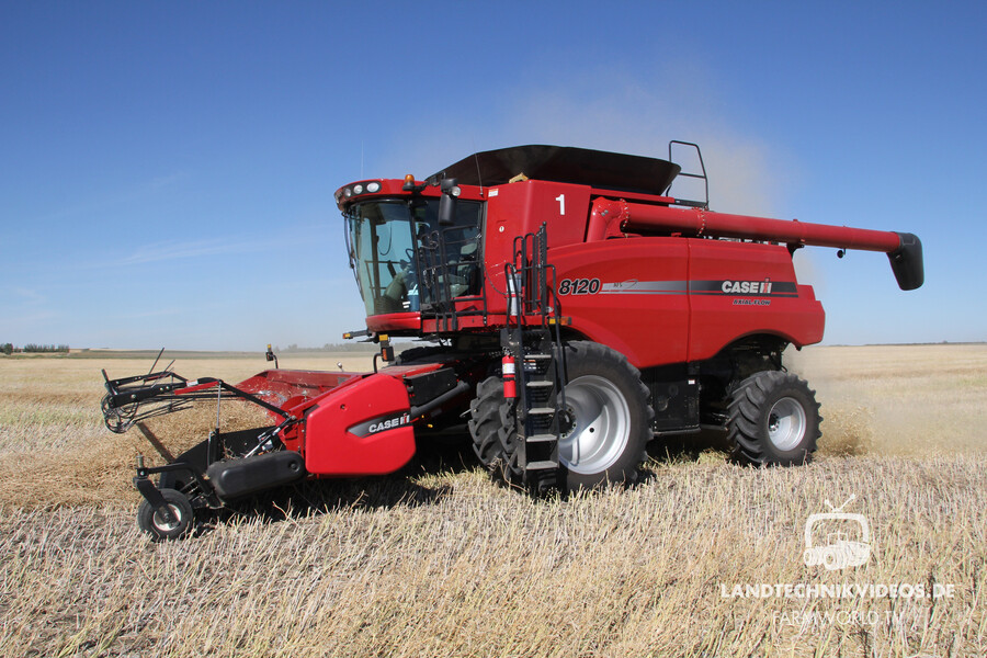 6x Case IH 8120 Mähdrescher (Kanada) - farmworld.tv