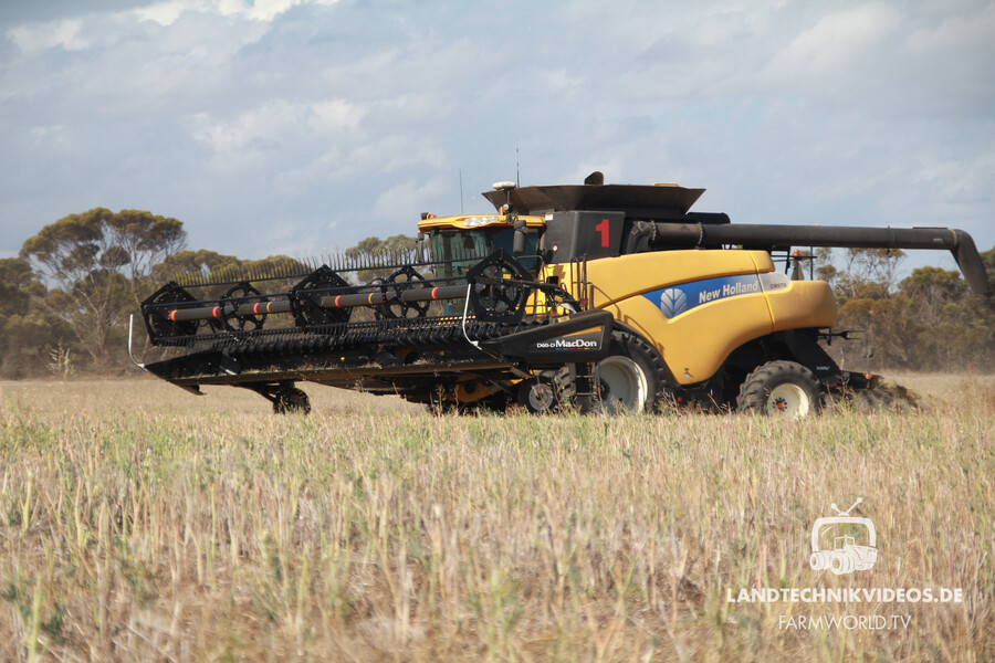 New Holland Mähdrescher in Australien - farmworld.tv