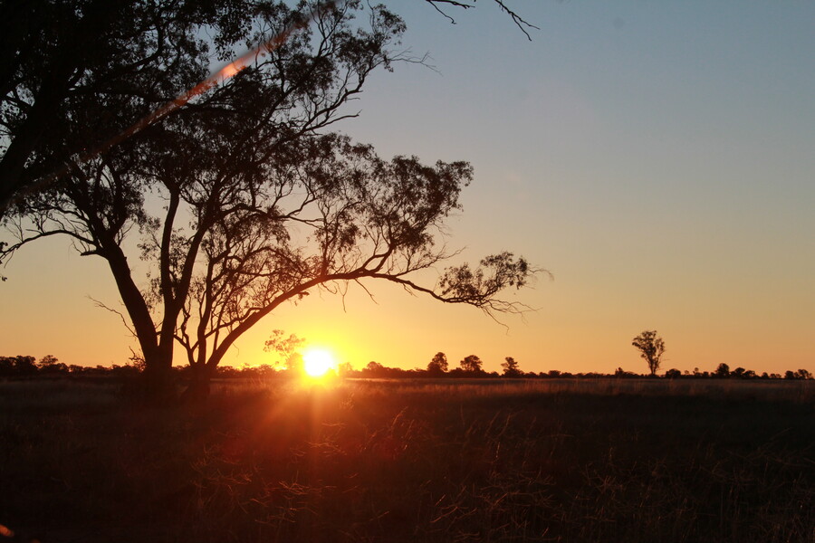 Landwirtschaft in Australien Vol.3 - farmworld.tv
